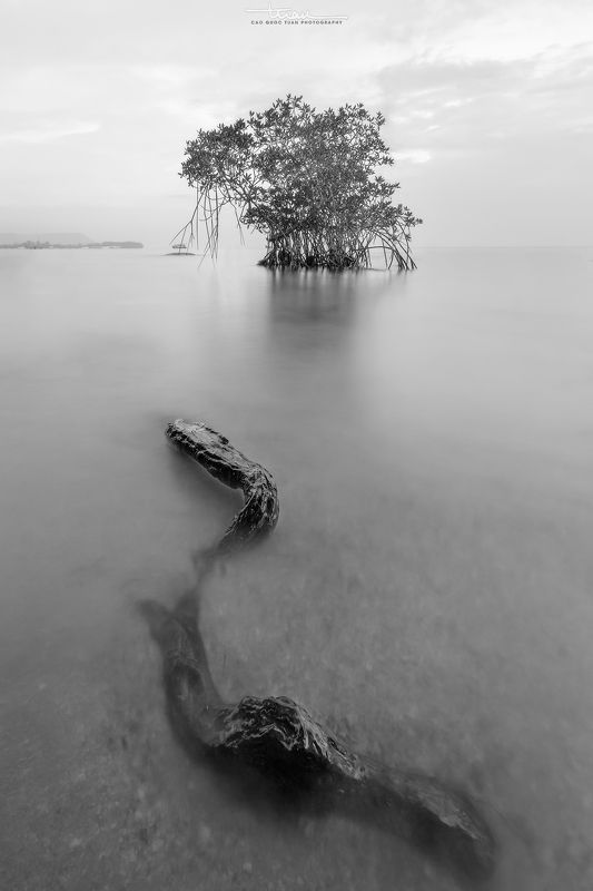 Hang Ran, Phu Quocphoto preview