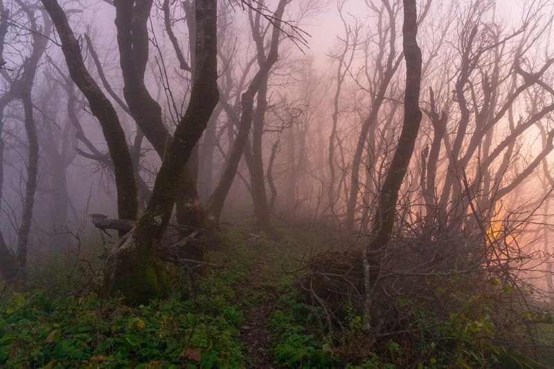 Закат сквозь туман на горе Змейкеphoto preview