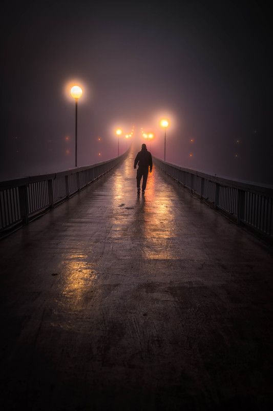 #landscape#nature#lake Walk alonephoto preview