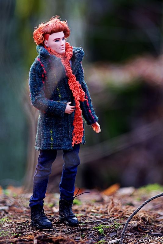 Ноябрь - время рыжих. Прогулка Лиса.photo preview