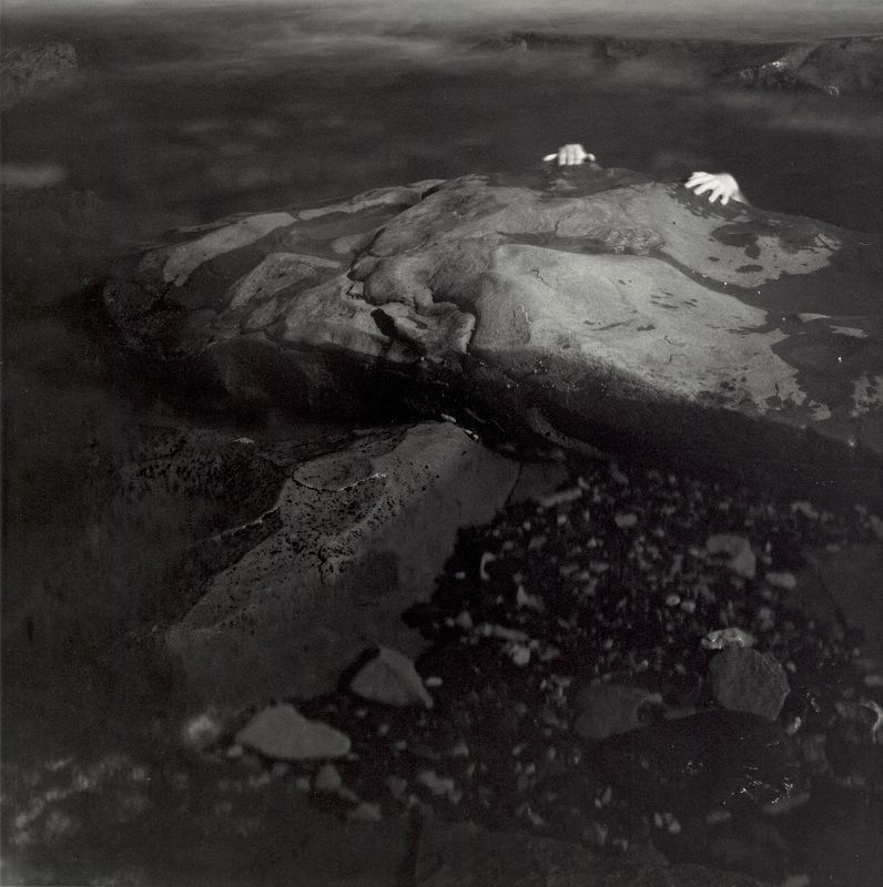 filmphotography, analogphotography, darkroomphotography, silvergelatineprint, b&w, blackandwhite Цепляться за...photo preview