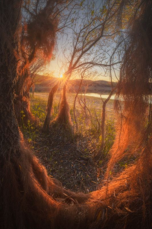 Нечтоphoto preview