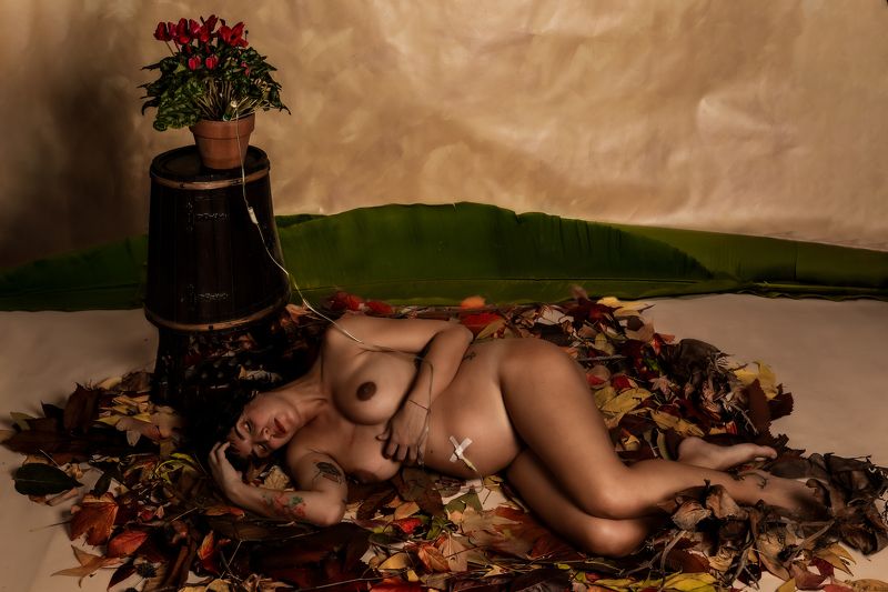 portrait,,nude,nudo,fineart,finenude, female, modella, model,natura, urbex il nutrimento фото превью