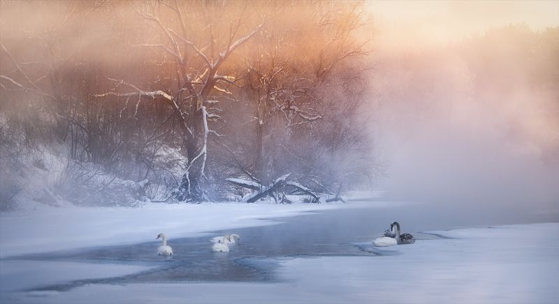 Выжить вопреки...photo preview