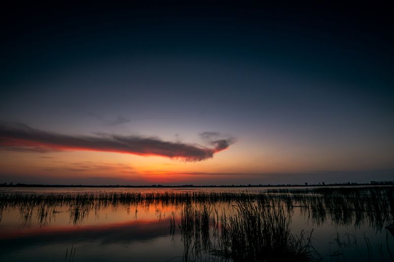 Wetlands sunsetphoto preview