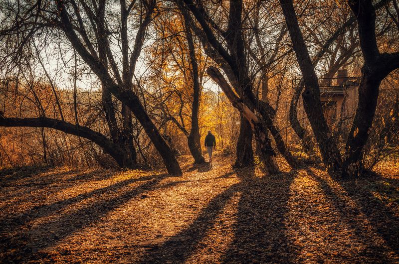 Что такое осень...photo preview