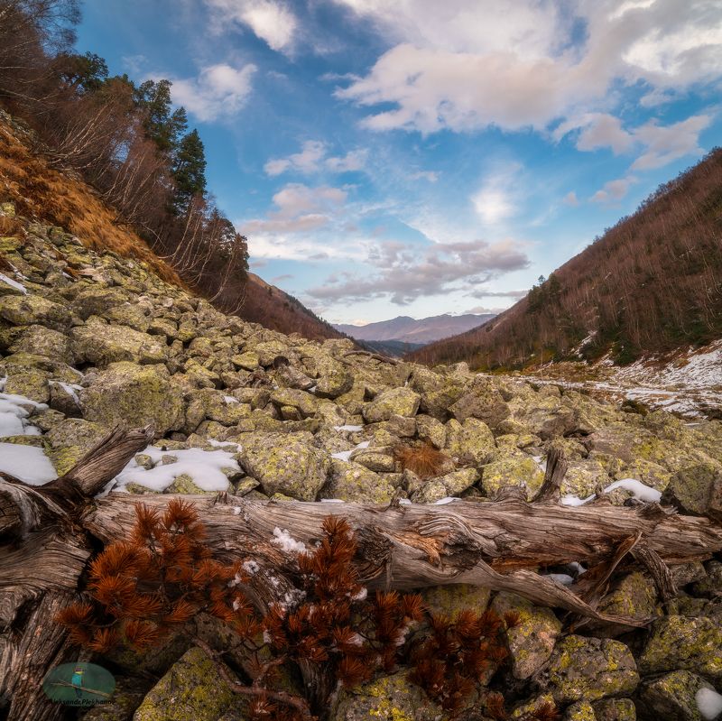 кчр На каменной осыпиphoto preview