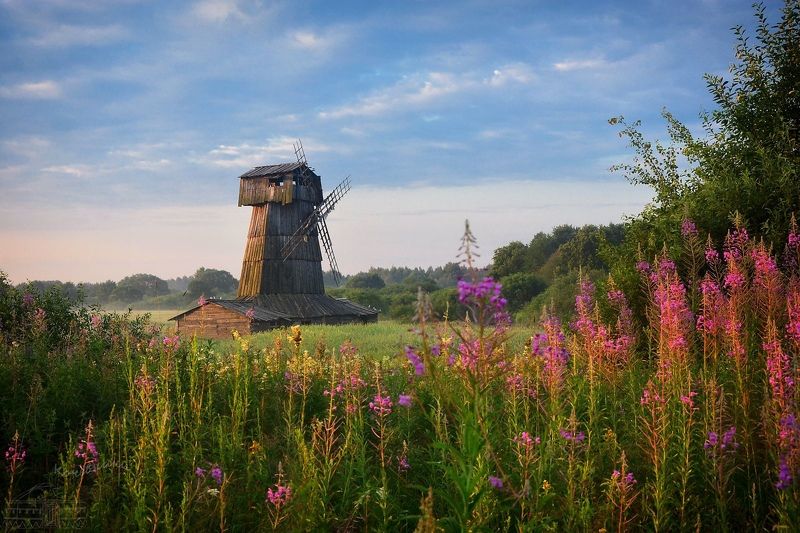 Июльское утро в деревнеphoto preview