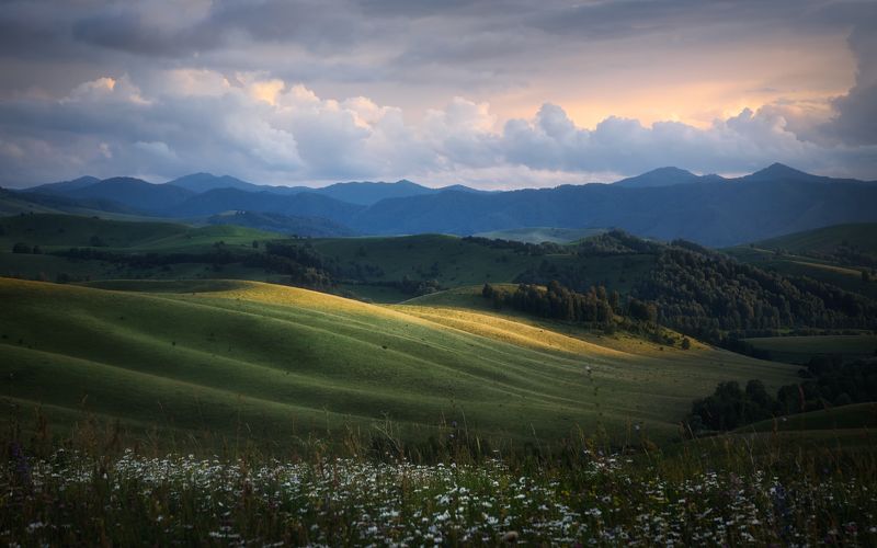 алтай, алтайский край, алтайский район, бирюксинский перевал, айские холмы, айский тракт, алтайское, холмы, предгорья алтая Золотые грезы уходящего дня фото превью