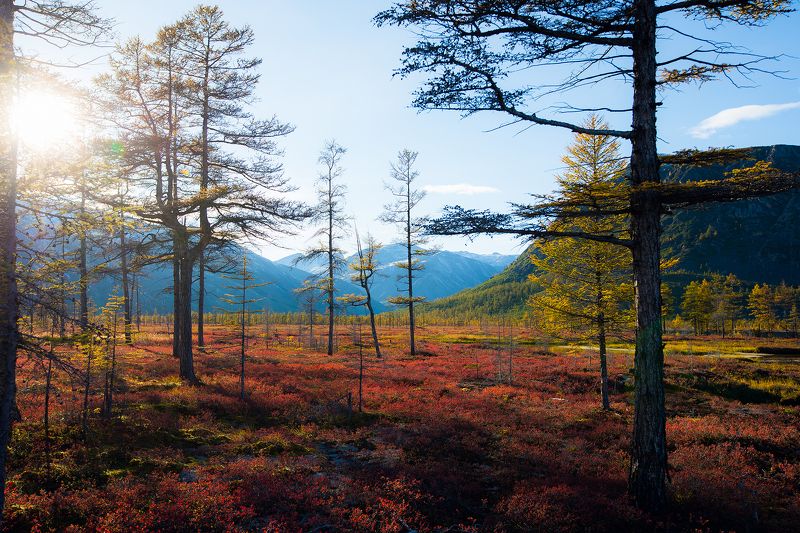 Колыма, Магадан, тайга, тундра, пейзаж, осень, озеро Джека Лондона, горы Красная тундраphoto preview