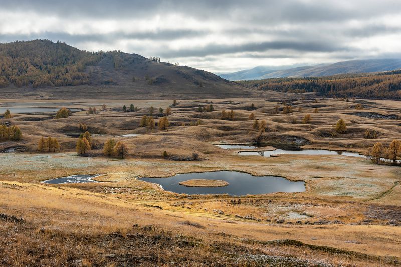 алтай, республика алтай, джангысколь, озеро, урочище ештыкель, облачность, снег, лиственницы, осень Урочище Ештыкель, в поисках сюжетаphoto preview