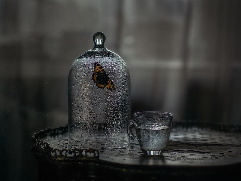 пасмурность дня*photo preview