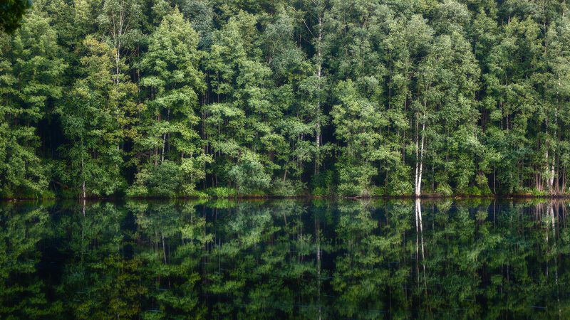 пейзаж Параллельные мирыphoto preview