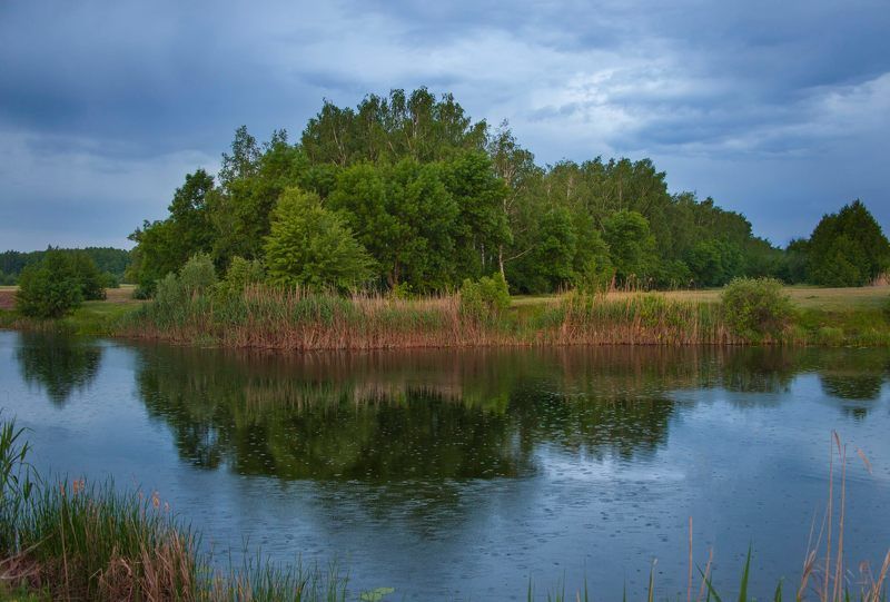 лето, река, берег,пейзаж ,дождь Пейзаж как состояние души ...photo preview
