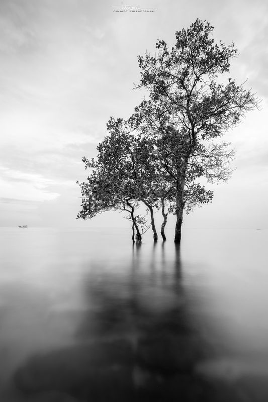 PhuQuoc Hang Ran, Phu Quocphoto preview