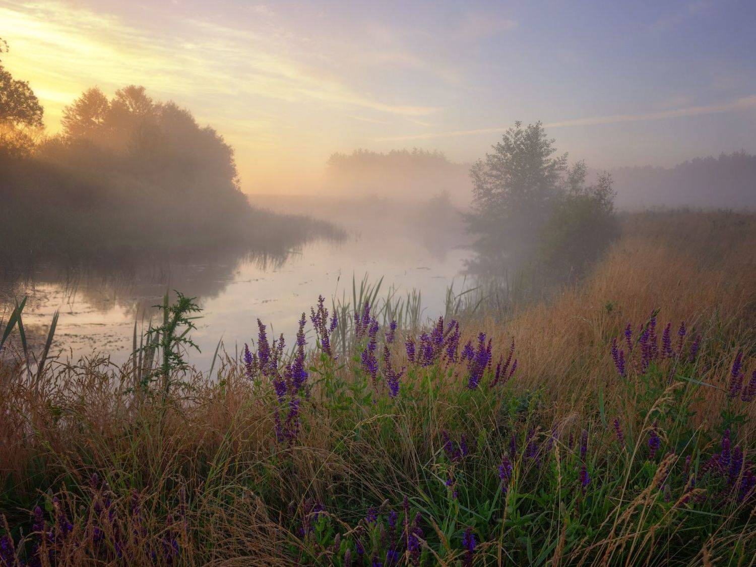 пейзаж, природа, туман, река, волчья, Виктор Тулбанов