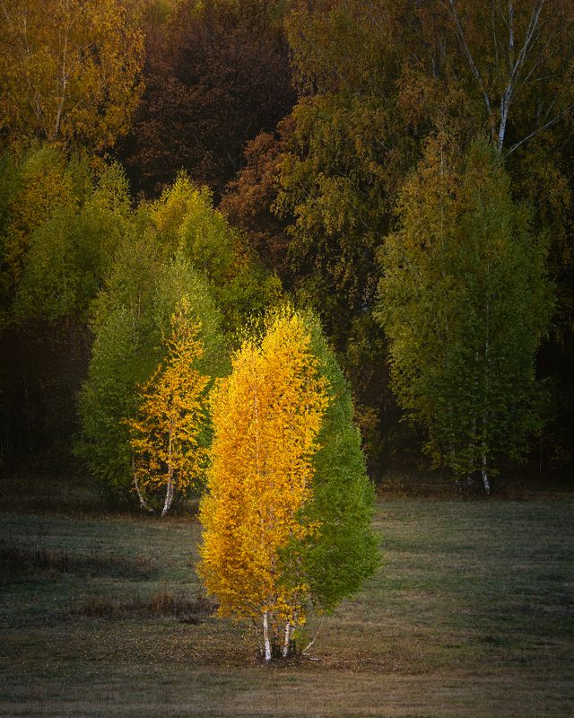 смена photo preview