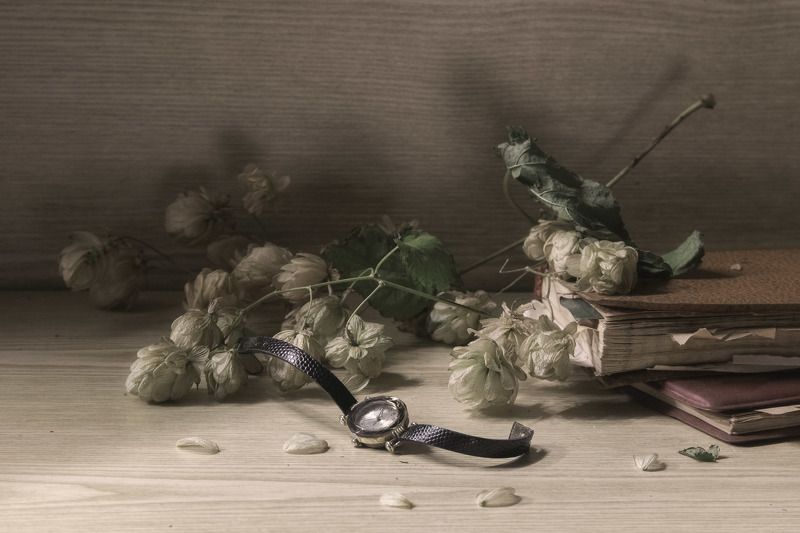 хмель, часы, осень Осенью..photo preview