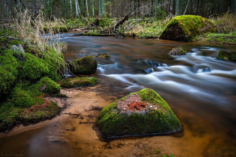 *** фото превью