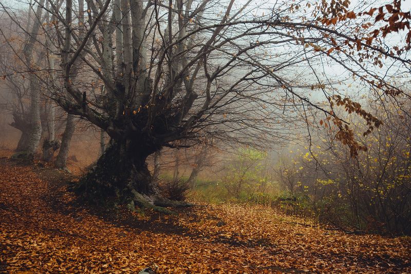 крым ***photo preview