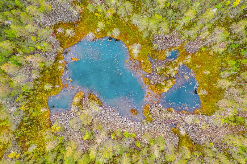 ладожские шхеры, ламба, ламбушка, тайга, карелия, национальный парк, русский север, лесное озеро Ламбушка-зайчишкаphoto preview
