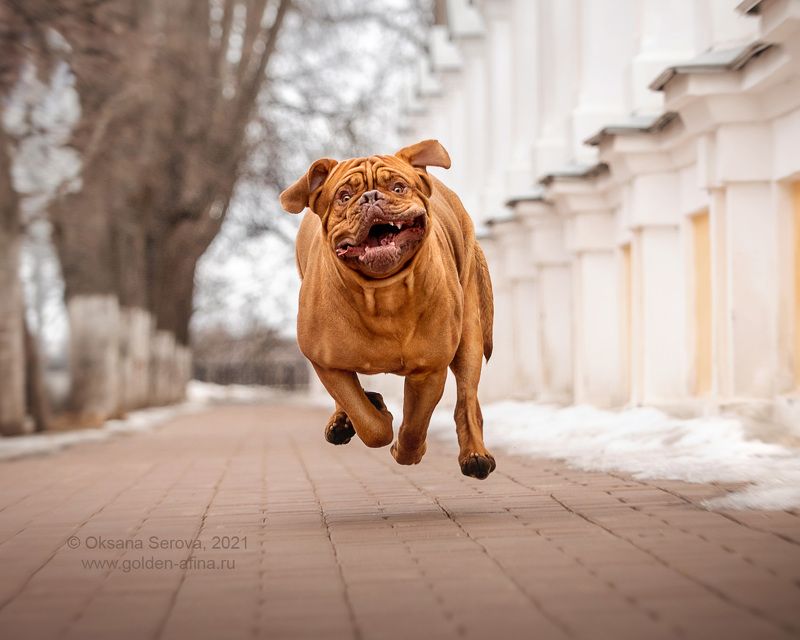 - Маааам, ты меня жвала-а-аааа?!!photo preview