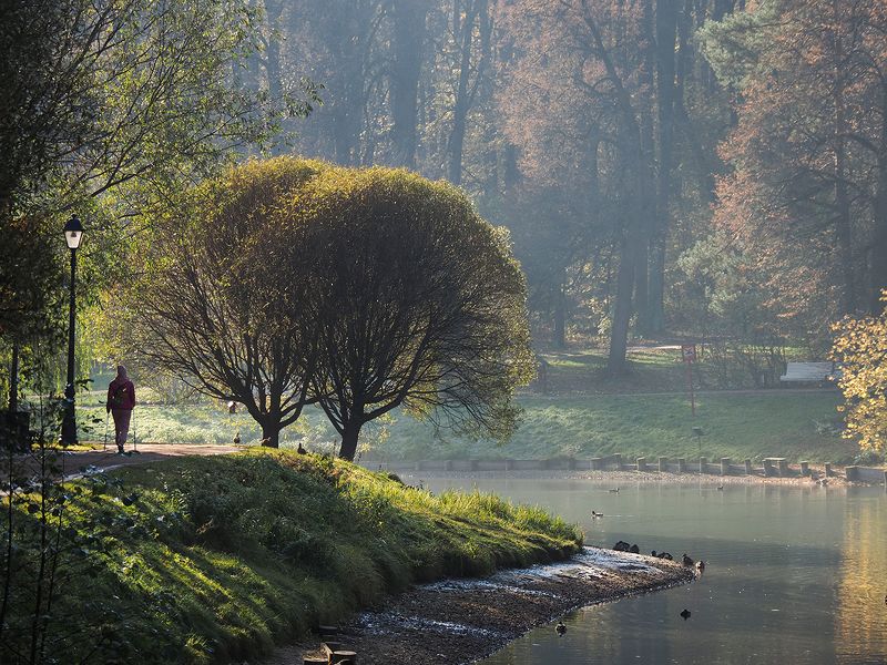 утренняя прогулкаphoto preview