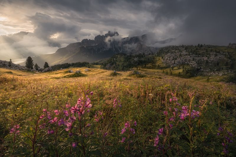 Last Days Of Summerphoto preview