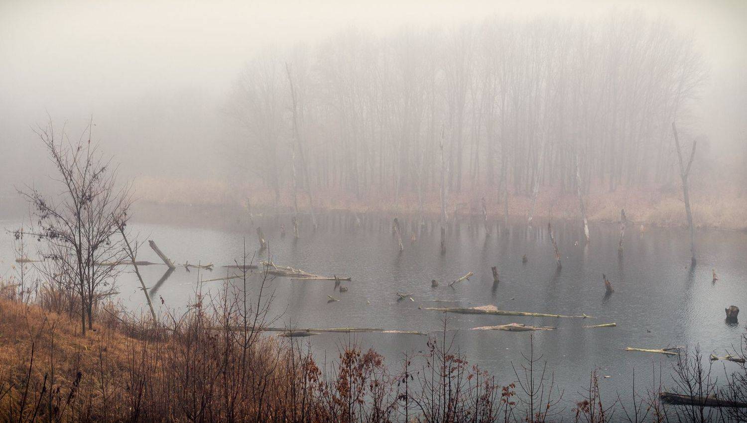 Утро в тумане. Автор: Игорь Мелекесцев , Игорь Мелекесцев