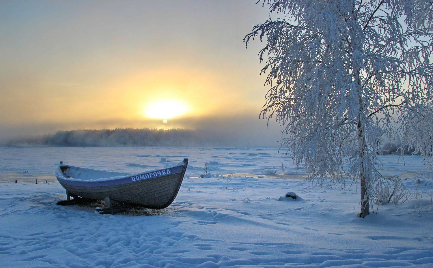 , Александр Коротков