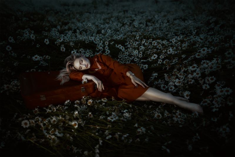 арт фотография, женщина, девушка, ромашки, поле, сказка Chamomile Dreamsphoto preview