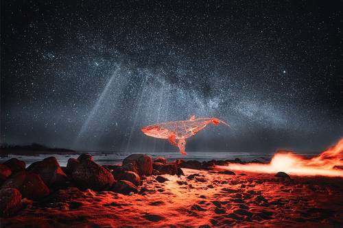 Одинокий кит вселенной