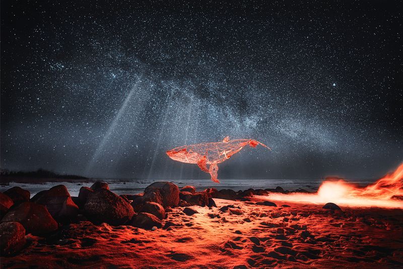 кит, пейзаж, фантазия, свет ночью Одинокий кит вселеннойphoto preview