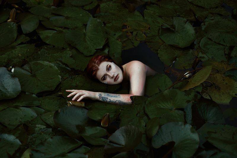 арт фотография, женщина, девушка, озеро, кувшинки, трясина, ню Трясинаphoto preview