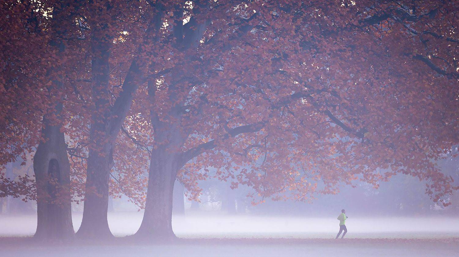 Autumn. Автор: Robert Adamec , Robert Adamec