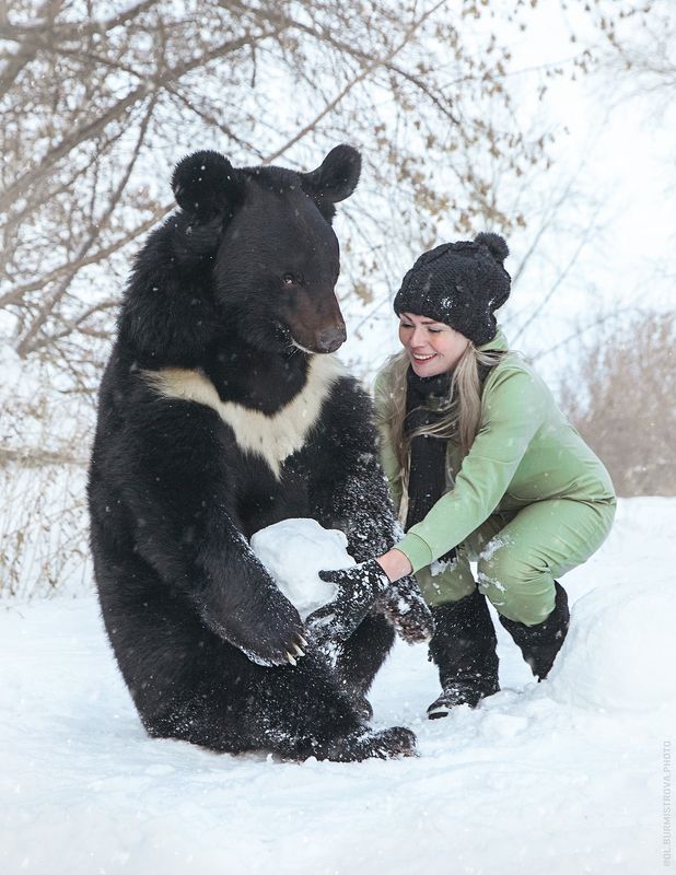 зима, снег, снеговик, зимние игры, медведь, сибирь, девушка и медведь, санки, снежки Зимние забавыphoto preview