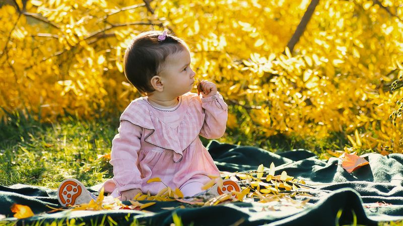 baby, girl, child, child photography, love, photography, outdoor, yellow, autumn The happy timephoto preview