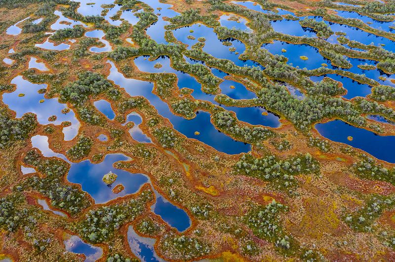 Осенние зарисовки.photo preview