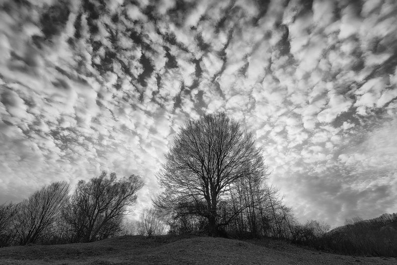 2021 фото превью