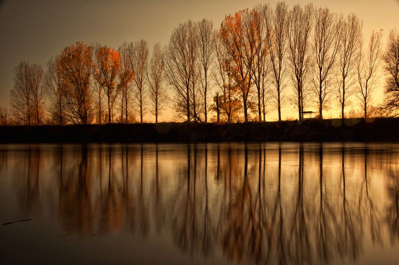 nikon d90 photo preview