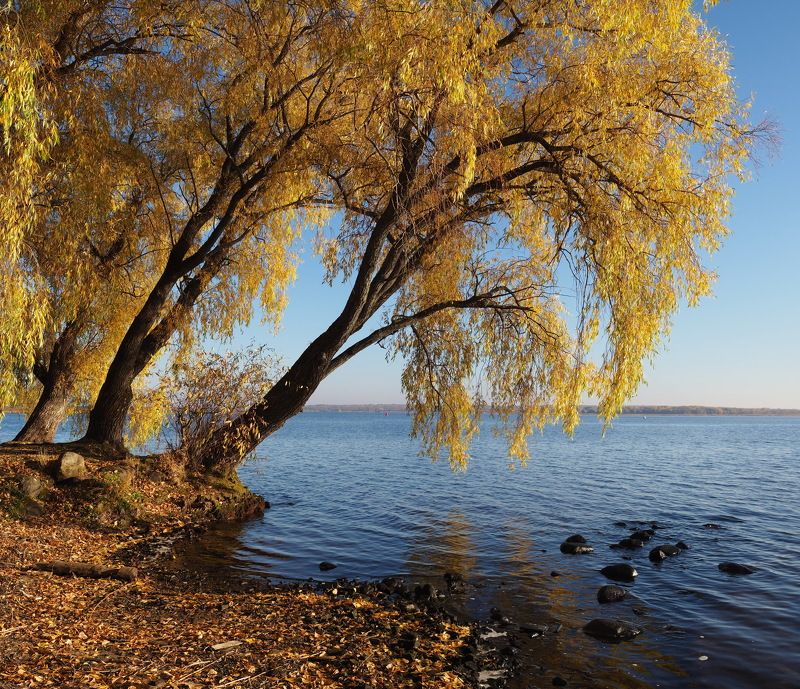 Осень Берег Селигераphoto preview