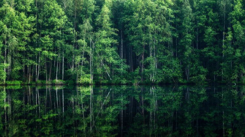 пейзаж Параллельные мирыphoto preview