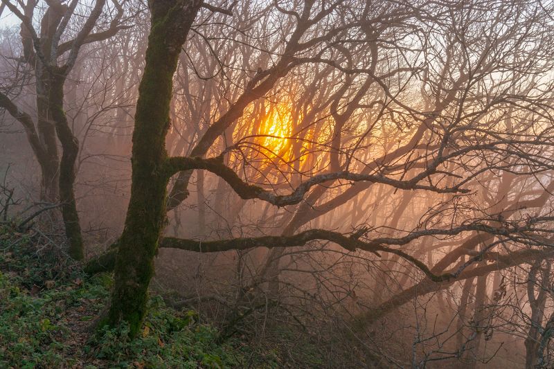 минеральные воды, закат, туман, лес, пейзаж, природа *****photo preview