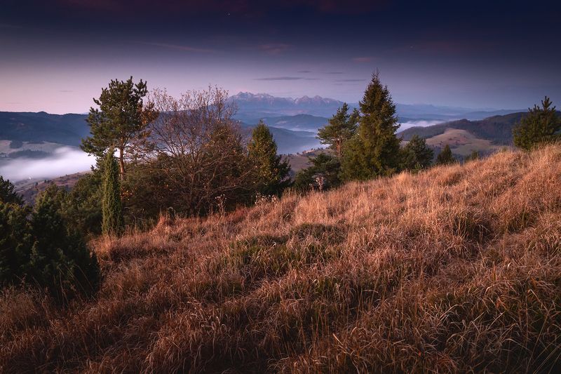 mountains, autumn, poland, slovakia, sunrise Morning in the Mountainsphoto preview