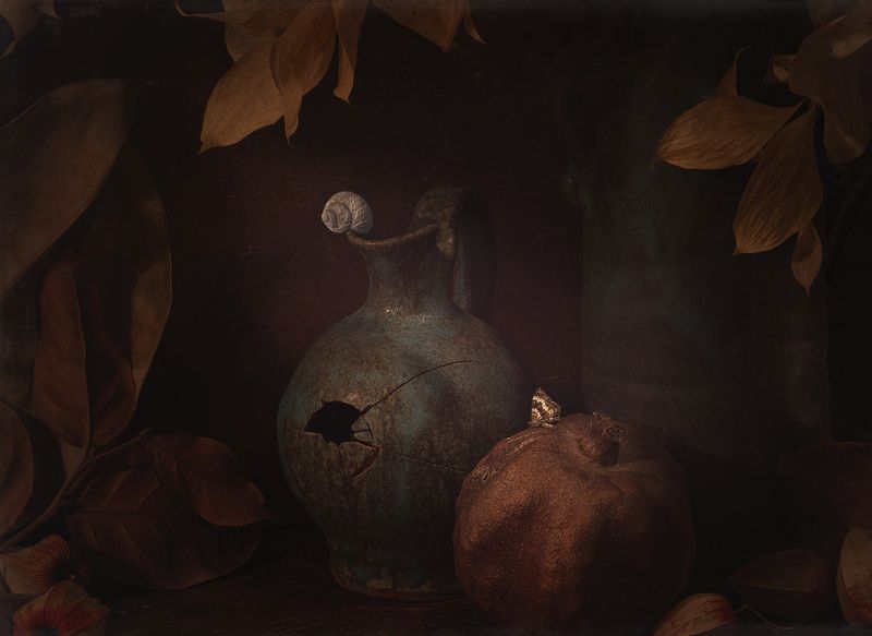 свет, натуральный, стильный, искусственный свет, теплый свет, глинянный кувшин с трещинкой, листья, сухие листья, гранат, темный, кувшин, натюрморт, фон, трещина, сумерки, мистический, керамика, оболочка, древесина, древесина , винтаж, художественное, изо Натюрморт с треснувшим кувшином и мотылькомphoto preview