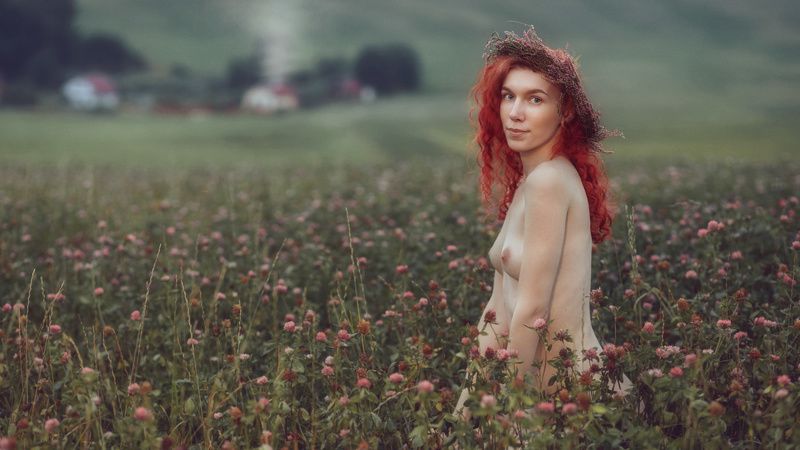 Клеверное полеphoto preview