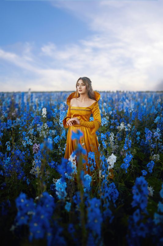 арт фотография, женщина, девушка, цветы, поле, сказка На встрече летнего вечераphoto preview