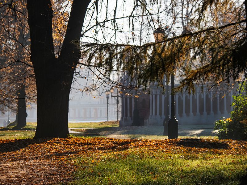 раннее утроphoto preview