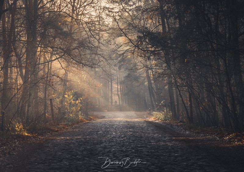 Na skrótyphoto preview