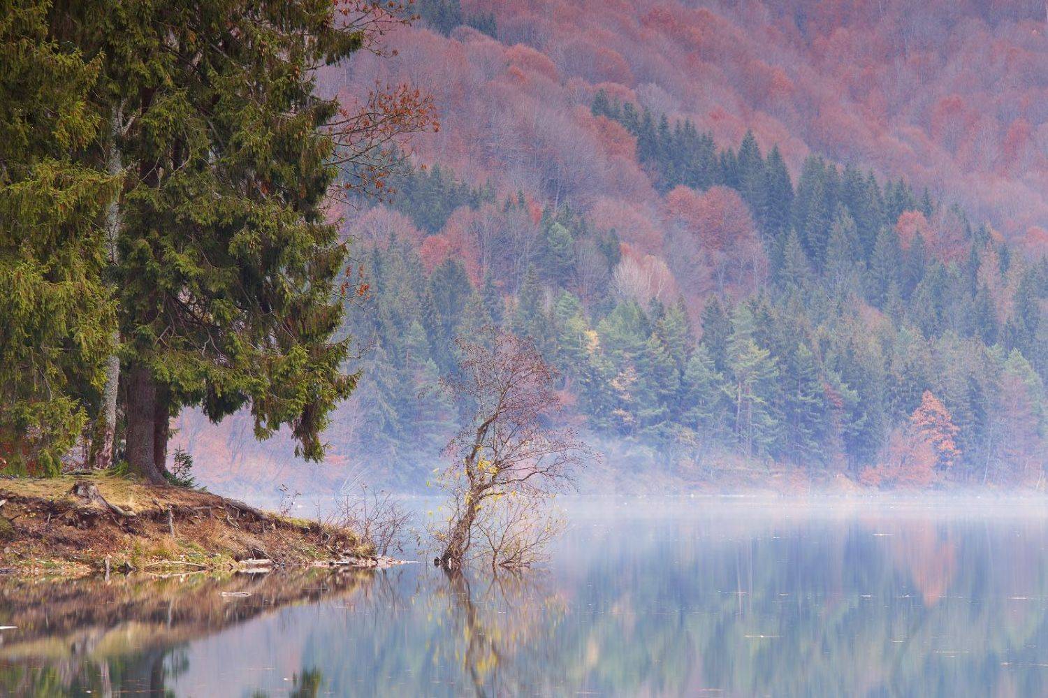 вечер, вода, горы, карпаты, ноябрь, озеро, осень, отражение, туман, украина, Вейзе Максим